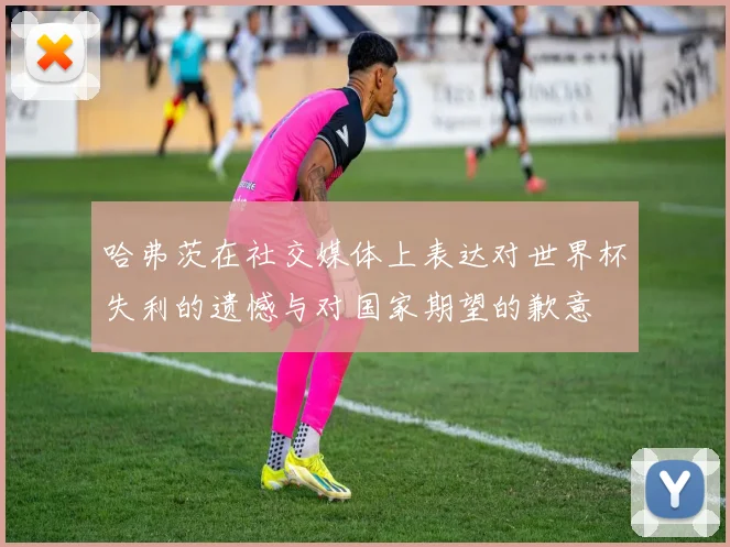 哈弗茨在社交媒体上表达对世界杯失利的遗憾与对国家期望的歉意